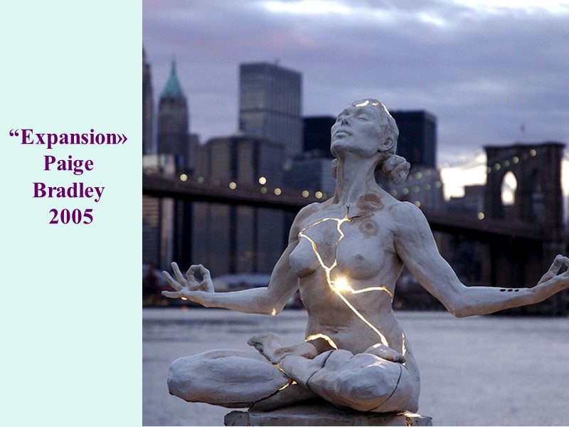 “Expansion»  Paige Bradley  2005